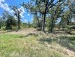 4778 e us hwy 69, alba,  TX 75410