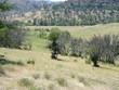  hornbrook,  CA 96044
