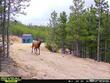 296 flathead dr, red feather lakes,  CO 80545