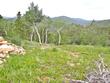 1601 osage trl, red feather lakes,  CO 80545