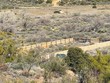  anza,  CA 92539