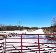  vassar,  MI 48768