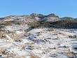 51 wolf dr, drake,  CO 80515