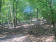 bloomfield hills,  MI 48304