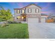 3623 cornflower st, wellington,  CO 80549