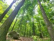  fairview,  MI 48621