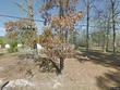  jasper,  TX 75951