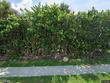  satellite beach,  FL 32937