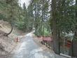  lake arrowhead,  CA 92352