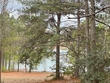 476 county road 173, jasper,  TX 75951