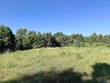 33+/- acres county road 1101, vinemont,  AL 35179