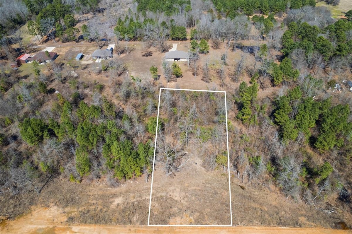 lot 7 piney lane, pittsburg,  TX 75686