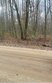  stanton,  MI 48888