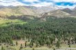  markleeville,  CA 96120