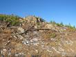 3839 davis ranch rd, bellvue,  CO 80512