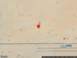  29 palms,  CA 92277