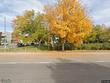 512 e monroe dr, fort collins,  CO 80525