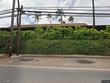  lahaina,  HI 96761