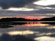  marcellus,  MI 49067