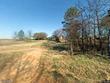  vinemont,  AL 35179