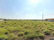  donna,  TX 78537