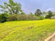 lot 8 & 9 lennox ave, dothan,  AL 36303