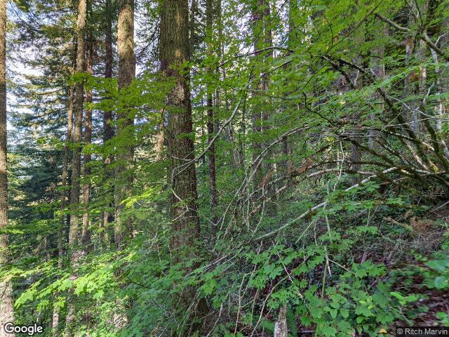25993 e henry creek rd, rhododendron,  OR 97049