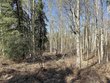  fairbanks,  AK 99709