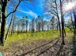 4191 co rd 1669, cullman,  AL 35058