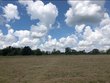 4195 cedar springs road, ashford,  AL 36312