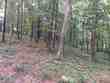 000 co rd 1693, holly pond,  AL 35083