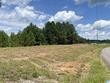 county road 367, crane hill,  AL 35053