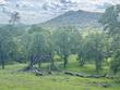  browns valley,  CA 95918