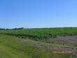 scroggins road, wallis,  TX 77485