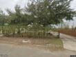 703 s orange st, alton,  TX 78573
