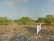  la joya,  TX 78560