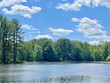  gaylord,  MI 49735