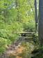  saline,  MI 49229