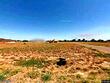 1306 n rockport st, alton,  TX 78573