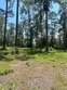  brookeland,  TX 75931