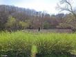  watauga,  TN 37694