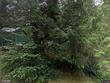 64711 e lupine dr, rhododendron,  OR 97049