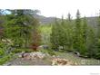 204 sutiki dr, red feather lakes,  CO 80545