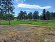 3031 lake arapahoe ct, red feather lakes,  CO 80545
