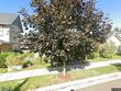 14665 catalpa way, oregon city,  OR 97045