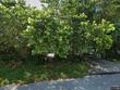  melbourne,  FL 32935