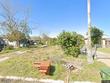  alamo,  TX 78516