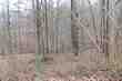 lot 20 seven bark dr, cullman,  AL 35057