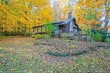  canton,  MI 48187