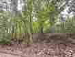 lot 24 oakhill dr nw, cullman,  AL 35055